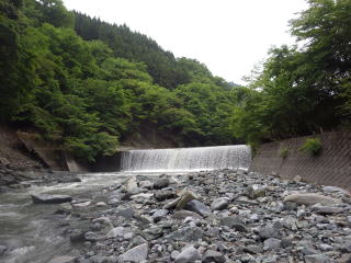 芦沢橋下流の堰堤